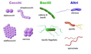 formebatteri