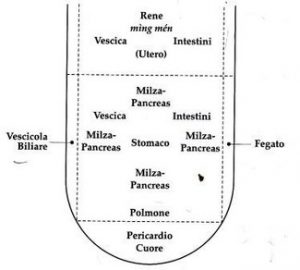 mappa della lingua